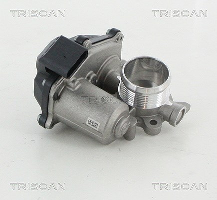 Triscan AGR-Ventil [Hersteller-Nr. 881329316] für Audi