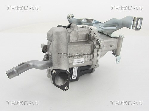 Triscan AGR-Ventil [Hersteller-Nr. 881310103] für Volvo, Peugeot, Citroën