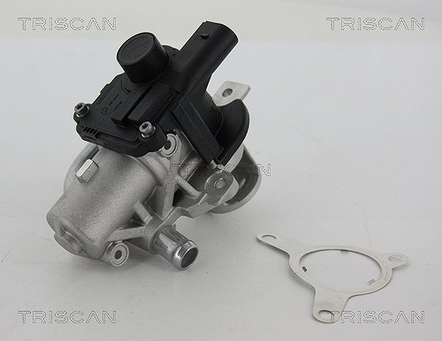 Triscan AGR-Ventil [Hersteller-Nr. 881325039] für Dacia, Nissan, Renault