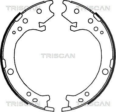 Triscan Bremsbackensatz, Feststellbremse [Hersteller-Nr. 810040007]