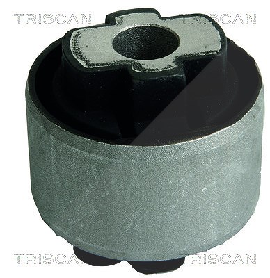 Triscan Lagerung, Lenker [Hersteller-Nr. 850010828] für Fiat, Peugeot, Citroën