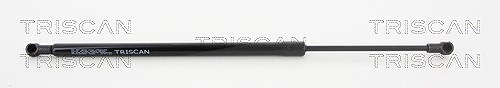 Triscan Gasfeder, Koffer-/Laderaum [Hersteller-Nr. 871027222] für Volvo