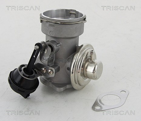 Triscan AGR-Ventil [Hersteller-Nr. 881316023] für Ford, Seat, VW, Audi, Skoda