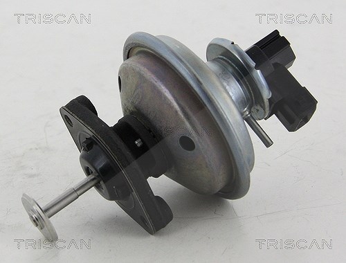 Triscan AGR-Ventil [Hersteller-Nr. 881311002] für Mini, BMW