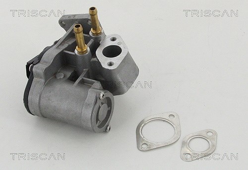 Triscan AGR-Ventil [Hersteller-Nr. 881329017] für Skoda, VW, Audi