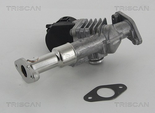 Triscan AGR-Ventil [Hersteller-Nr. 881311006] für BMW