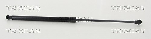 Triscan Gasfeder, Koffer-/Laderaum [Hersteller-Nr. 871025277] für Renault