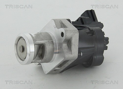 Triscan AGR-Ventil [Hersteller-Nr. 881324083] für Opel, Saab, Vauxhall, Chevrolet