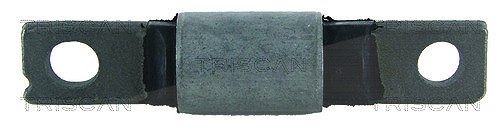 Triscan Lagerung, Lenker [Hersteller-Nr. 850010840] für Nissan, Renault
