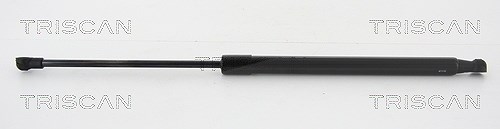 Triscan Gasfeder, Koffer-/Laderaum [Hersteller-Nr. 871028295] für Peugeot
