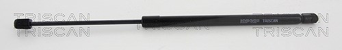 Triscan Gasfeder, Koffer-/Laderaum [Hersteller-Nr. 871023243] für Mercedes-Benz