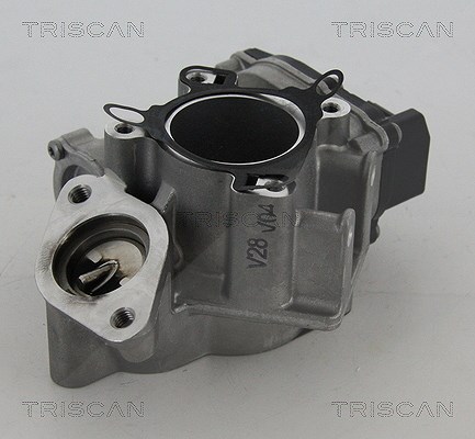 Triscan AGR-Ventil [Hersteller-Nr. 881324039] für Nissan, Vauxhall, Opel, Renault