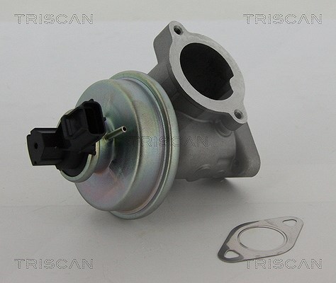 Triscan AGR-Ventil [Hersteller-Nr. 881316012] für Ford, Jaguar