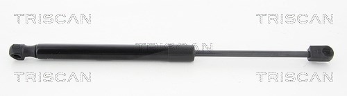 Triscan Gasfeder, Koffer-/Laderaum [Hersteller-Nr. 8710292107] für VW
