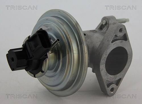 Triscan AGR-Ventil [Hersteller-Nr. 881316043] für Ford