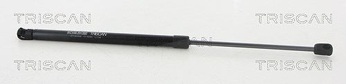 Triscan Gasfeder, Koffer-/Laderaum [Hersteller-Nr. 871023246] für Mercedes-Benz