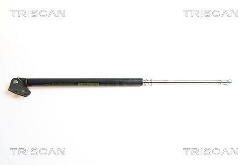 Triscan Gasfeder, Koffer-/Laderaum [Hersteller-Nr. 871043212] für Hyundai