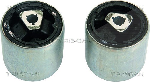 Triscan Lagerung, Lenker [Hersteller-Nr. 850011841] für BMW