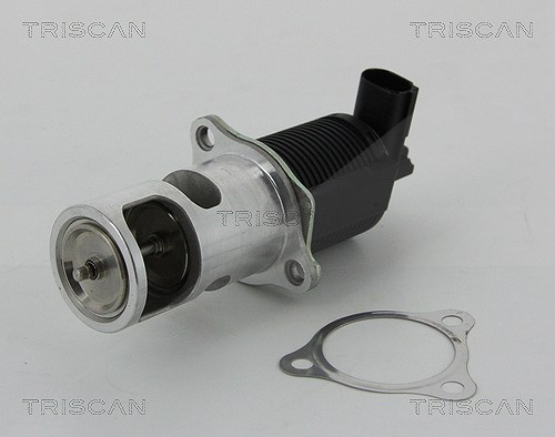 Triscan AGR-Ventil [Hersteller-Nr. 881325038] für Dacia, Nissan, Renault