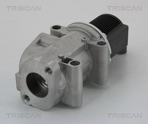 Triscan AGR-Ventil [Hersteller-Nr. 881315032] für Fiat