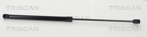 Triscan Gasfeder, Koffer-/Laderaum [Hersteller-Nr. 871011246] für Mini