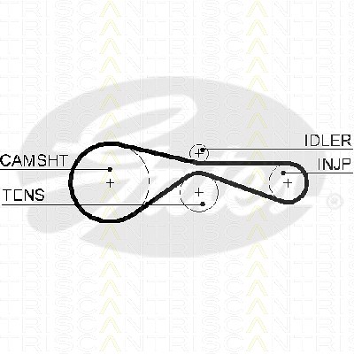 Triscan Zahnriemen [Hersteller-Nr. 86455614xs] für Audi, VW