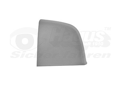 Van Wezel Abdeckung, Außenspiegel [Hersteller-Nr. 1638843] für Fiat, Opel