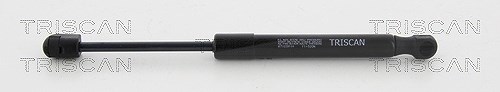Triscan Gasfeder, Motorhaube [Hersteller-Nr. 871029144] für Audi