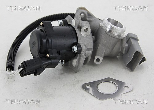 Triscan AGR-Ventil [Hersteller-Nr. 881316034] für Ford, Volvo