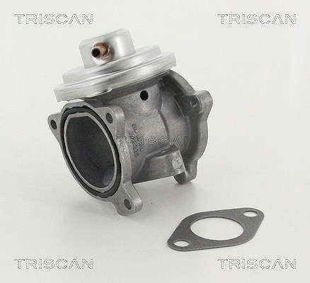 Triscan AGR-Ventil [Hersteller-Nr. 881329011] für Skoda, VW, Audi, Seat
