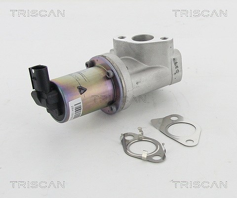 Triscan AGR-Ventil [Hersteller-Nr. 881343021] für Hyundai, Kia