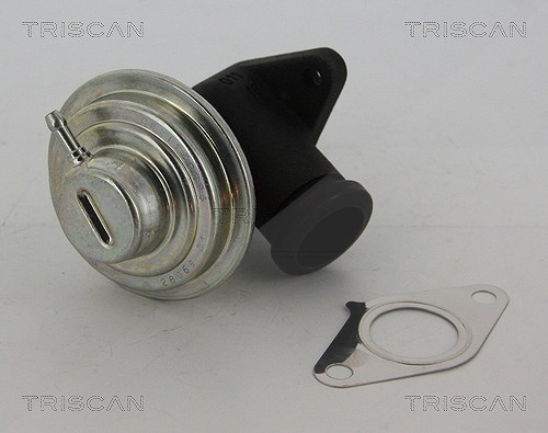 Triscan AGR-Ventil [Hersteller-Nr. 881328042] für Suzuki, Fiat, Lancia, Citroën, Peugeot
