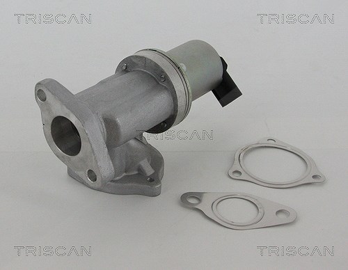 Triscan AGR-Ventil [Hersteller-Nr. 881343002] für Hyundai, Kia