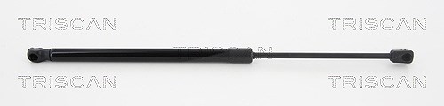 Triscan Gasfeder, Koffer-/Laderaum [Hersteller-Nr. 871043234] für Hyundai