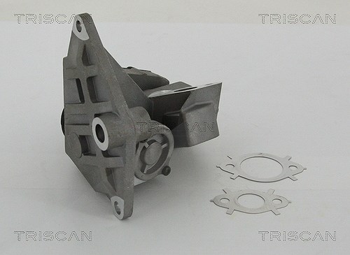 Triscan AGR-Ventil [Hersteller-Nr. 881329047] für Audi, VW, Seat, Skoda