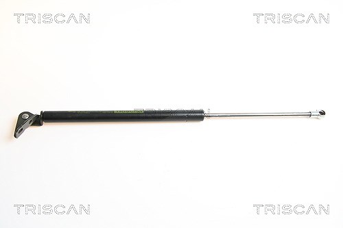 Triscan Gasfeder, Koffer-/Laderaum [Hersteller-Nr. 871043211] für Hyundai