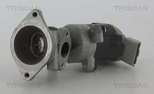 Triscan AGR-Ventil [Hersteller-Nr. 881317020] für Land Rover