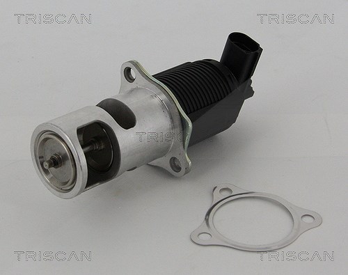 Triscan AGR-Ventil [Hersteller-Nr. 881325005] für Renault, Opel, Vauxhall, Nissan