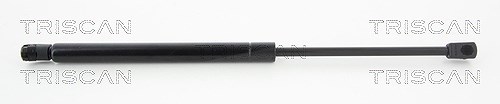 Triscan Gasfeder, Koffer-/Laderaum [Hersteller-Nr. 871043230] für Hyundai