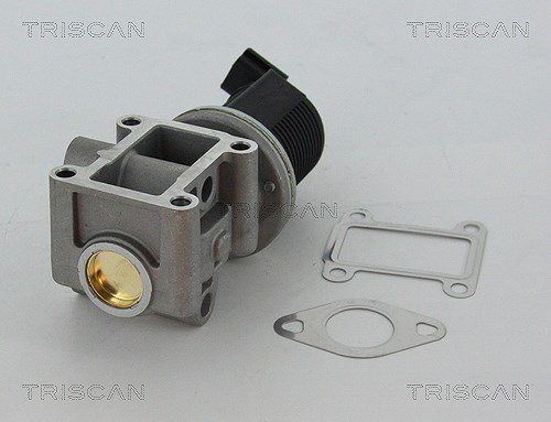 Triscan AGR-Ventil [Hersteller-Nr. 881324082] für Opel, Saab, Lancia, Cadillac, Vauxhall, Alfa Romeo, Fiat