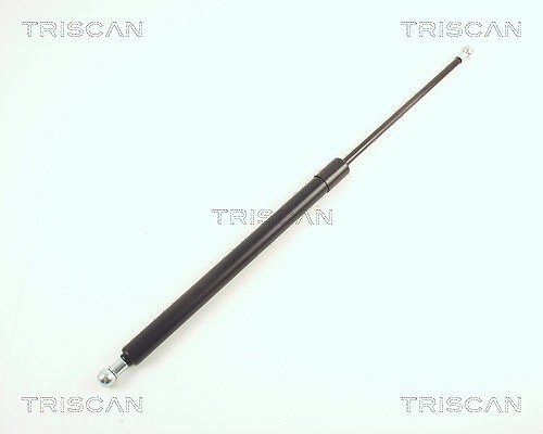 Triscan Gasfeder, Koffer-/Laderaum [Hersteller-Nr. 871029262] für Audi