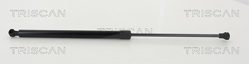 Triscan Gasfeder, Koffer-/Laderaum [Hersteller-Nr. 871028249] für Peugeot
