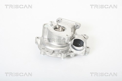 Triscan Wasserpumpe [Hersteller-Nr. 860011026] für BMW