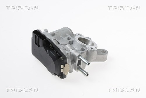 Triscan AGR-Ventil [Hersteller-Nr. 881314100] für Nissan