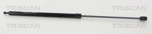 Triscan Gasfeder, Motorhaube [Hersteller-Nr. 871016105] für Ford