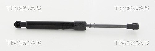 Triscan Gasfeder, Koffer-/Laderaum [Hersteller-Nr. 8710292035] für VW
