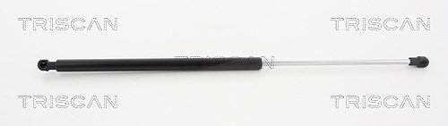 Triscan Gasfeder, Koffer-/Laderaum [Hersteller-Nr. 871038229] für Citroën