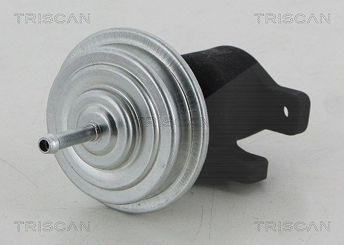 Triscan AGR-Ventil [Hersteller-Nr. 881329053] für Seat, Ford, Audi, VW