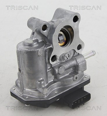 Triscan AGR-Ventil [Hersteller-Nr. 881313200] für Toyota