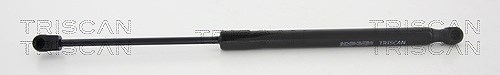 Triscan Gasfeder, Koffer-/Laderaum [Hersteller-Nr. 871038239] für Ds, Citroën